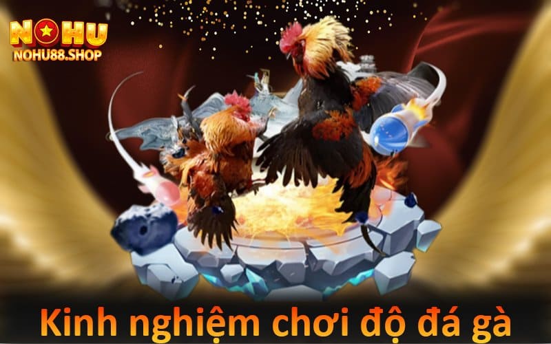 Kinh nghiệm chơi độ đá gà