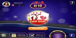 Khám Phá Tổng Quan Về Trò Chơi Xì Tố